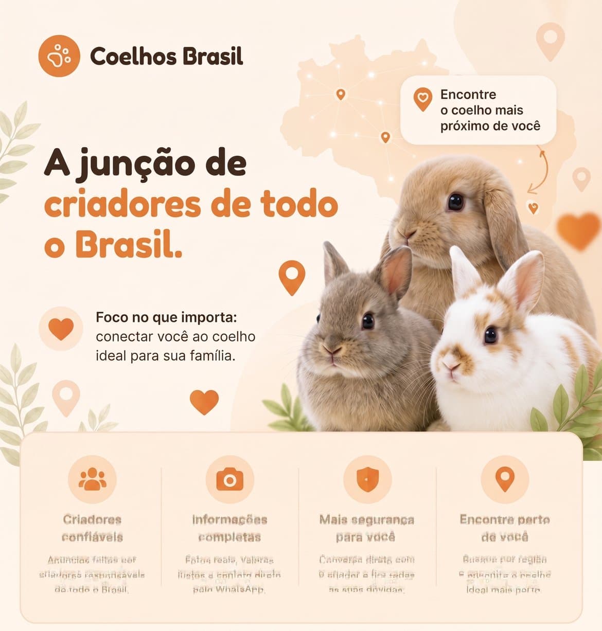 Coelhos Brasil — a junção de criadores de todo o Brasil. 100% grátis para anunciar. Encontre o coelho ideal para sua família.